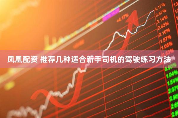 凤凰配资 推荐几种适合新手司机的驾驶练习方法